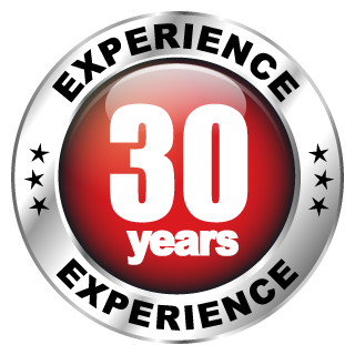 30 Years Experience Logo